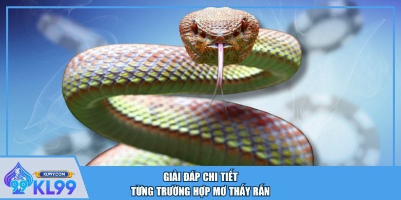 Giải đáp chi tiết từng trường hợp mơ thấy rắn