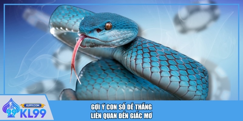 Gợi ý con số dễ thắng liên quan đến giấc mơ