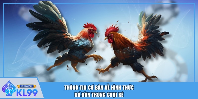 Thông tin cơ bản về hình thức đá đòn trong chọi kê