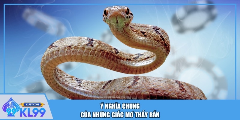 Ý nghĩa chung của những giấc mơ thấy rắn